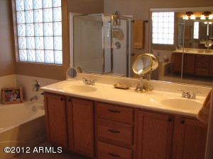 4129 E Prickly Pear Trl, Phoenix, AZ 85050 photo 18