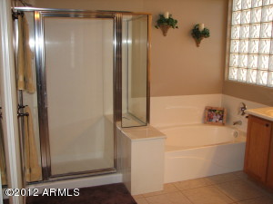 4129 E Prickly Pear Trl, Phoenix, AZ 85050 photo 17