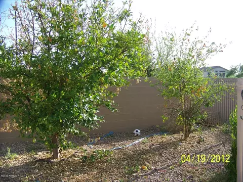 4145 E Blossom Ct, Gilbert, AZ 85297 photo 34