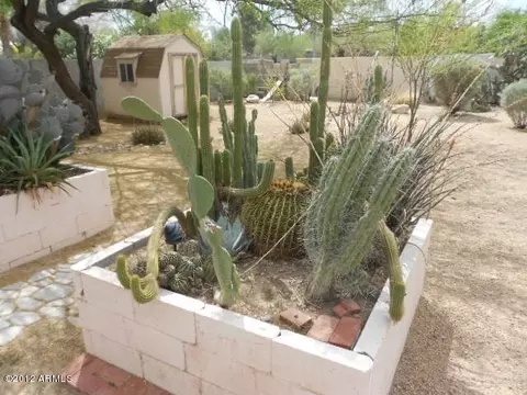 2115 E Paradise Ln, Phoenix, AZ 85022 photo 26