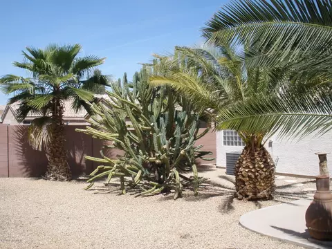 1655 E Palomino Dr, Gilbert, AZ 85296 photo 10