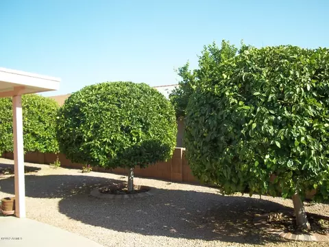 8037 E Navarro Ave, Mesa, AZ 85209 photo 38
