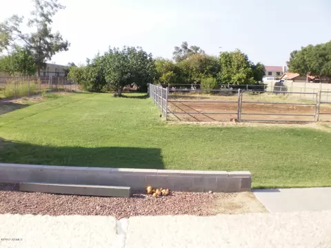 344 E Harvard Ave, Gilbert, AZ 85234 photo 13