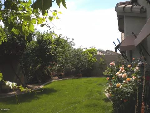 10359 Edgewood Ave, Mesa, AZ 85208 photo 6