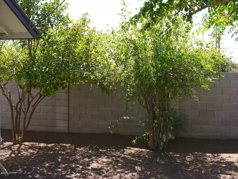 636 E Franklin Ave, Mesa, AZ 85204 photo 4