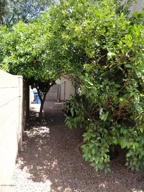 1701 E Bruce Ave, Gilbert, AZ 85234 photo 52