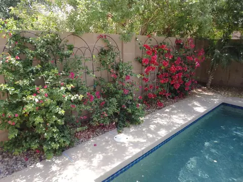 1701 E Bruce Ave, Gilbert, AZ 85234 photo 47