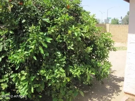 759 S Ashbrook --, Mesa, AZ 85204 photo 33