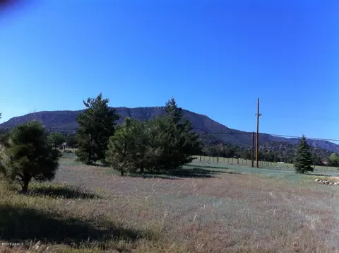 3816 W Ellison Dr, Pine, AZ 85544 photo 9