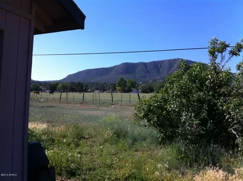 3816 W Ellison Dr, Pine, AZ 85544 photo 18