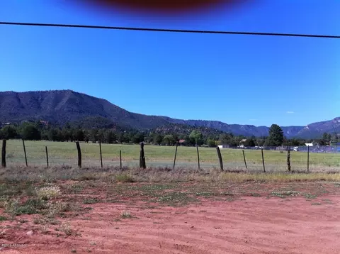 3816 W Ellison Dr, Pine, AZ 85544 photo 21