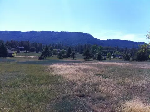 3816 W Ellison Dr, Pine, AZ 85544 photo 5