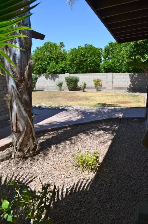 2461 E Hale St, Mesa, AZ 85213 photo 45