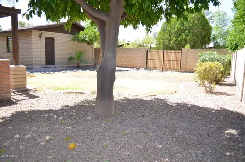 2461 E Hale St, Mesa, AZ 85213 photo 41