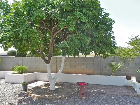6249 E Boise St, Mesa, AZ 85205 photo 16