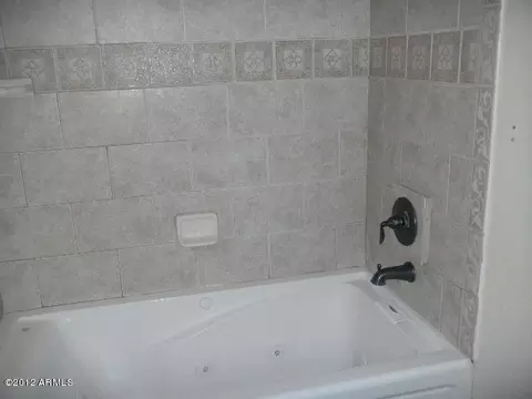 4737 E Princess Dr, Mesa, AZ 85205 photo 10
