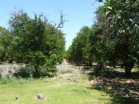 4004 E Mckellips Rd, Mesa, AZ 85215 photo 10