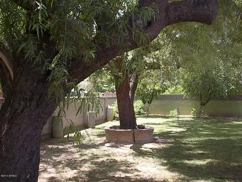 1243 E 2nd St, Mesa, AZ 85203 photo 20