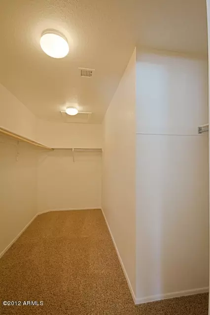 10732 E Ananea Ave, Mesa, AZ 85208 photo 25