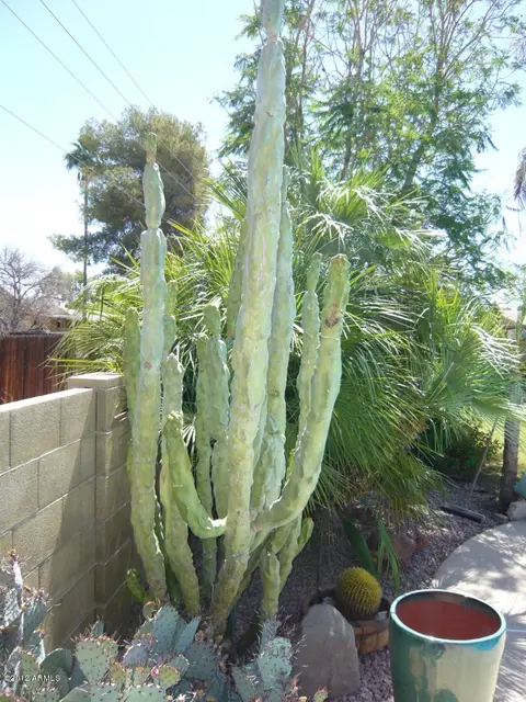 2174 E Concorda Dr, Tempe, AZ 85282 photo 38