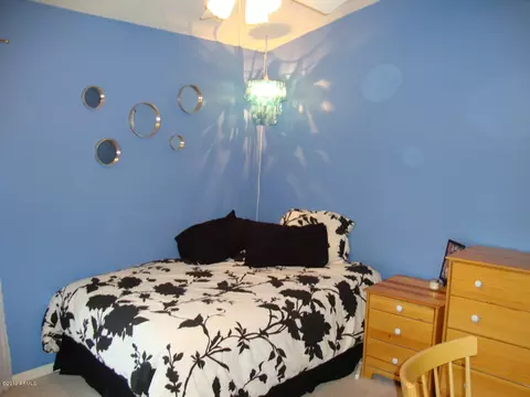 4119 E Robin Ln, Phoenix, AZ 85050 photo 18