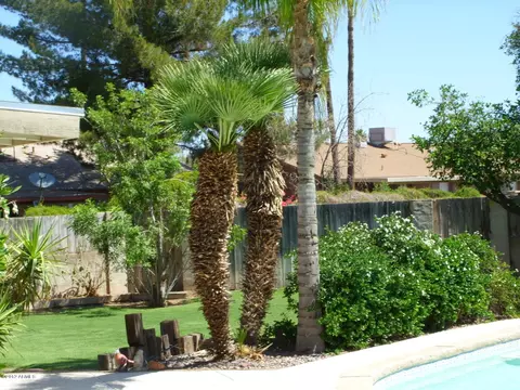 2100 E Cornell Dr, Tempe, AZ 85283 photo 13