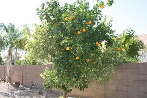 9650 E Irwin Ave, Mesa, AZ 85209 photo 29
