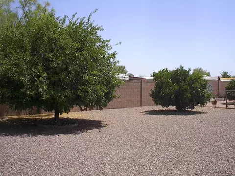 5530 E Arbor Ave, Mesa, AZ 85206 photo 14