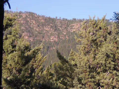 6185 Hidden Pines Loop, Pine, AZ 85544 photo 26