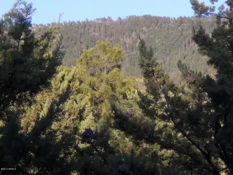 6185 Hidden Pines Loop, Pine, AZ 85544 photo 25