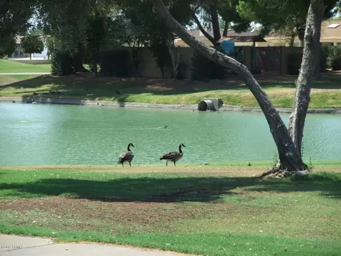 4030 E Carol Cir, Mesa, AZ 85206 photo 34