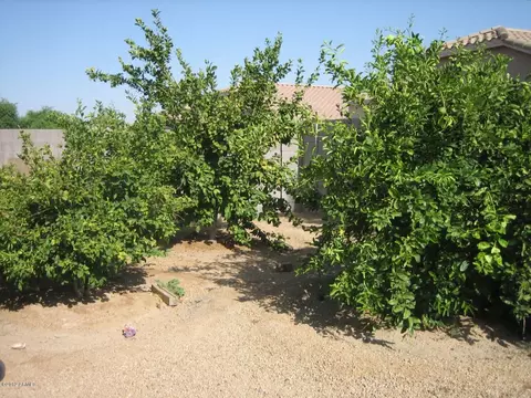 3980 E Remington Dr, Gilbert, AZ 85297 photo 33