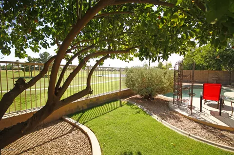 4633 E Kelly Dr, Gilbert, AZ 85234 photo 9