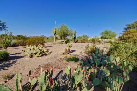 6702 E Sugarloaf St, Mesa, AZ 85215 photo 42