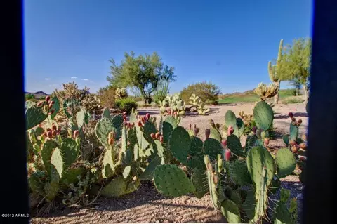 6702 E Sugarloaf St, Mesa, AZ 85215 photo 50