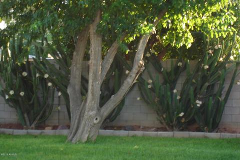 4241 E Piccadilly Rd, Phoenix, AZ 85018 photo 25
