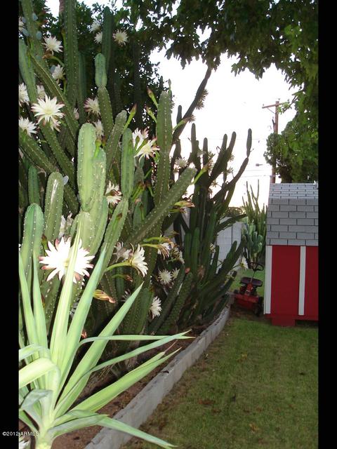 4241 E Piccadilly Rd, Phoenix, AZ 85018 photo 24