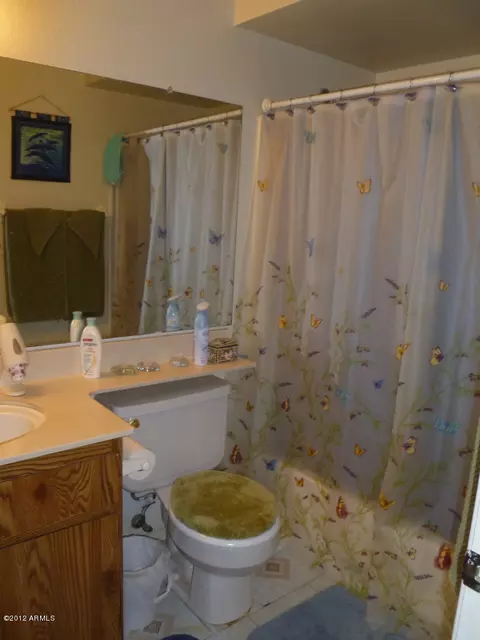 317 N 69th Ave, Phoenix, AZ 85043 photo 18