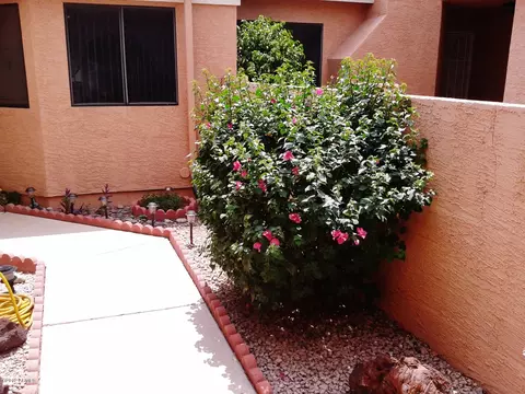 3510 E Hampton Ave, Mesa, AZ 85204 photo 3
