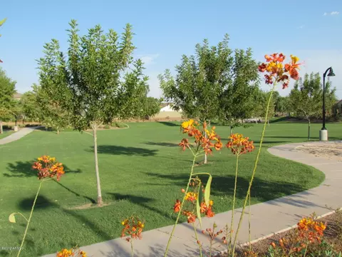 863 E Doral Ct, Gilbert, AZ 85297 photo 26