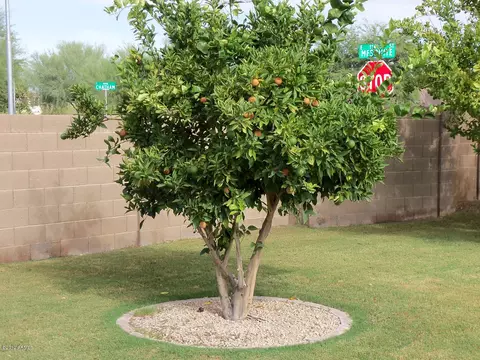 11402 E Rafael Ave, Mesa, AZ 85212 photo 23