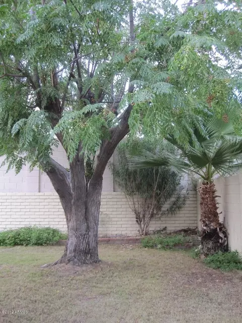 1952 E Rosemonte Dr, Phoenix, AZ 85024 photo 27