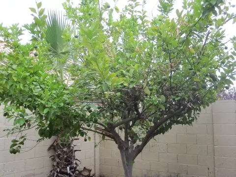 1952 E Rosemonte Dr, Phoenix, AZ 85024 photo 25