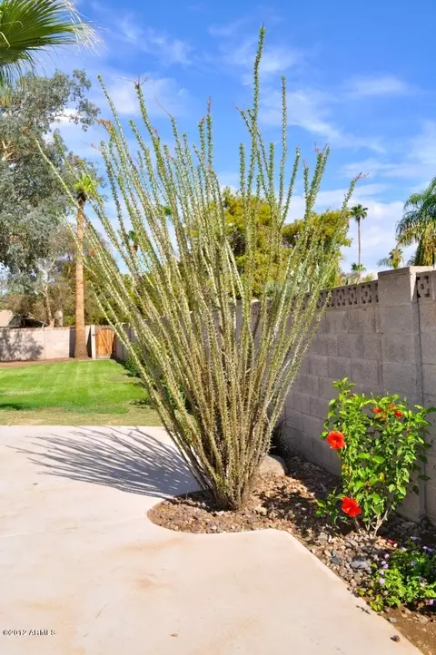 3919 E Laurel Ln, Phoenix, AZ 85028 photo 37