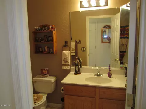7302 E Lobo Ave, Mesa, AZ 85209 photo 19