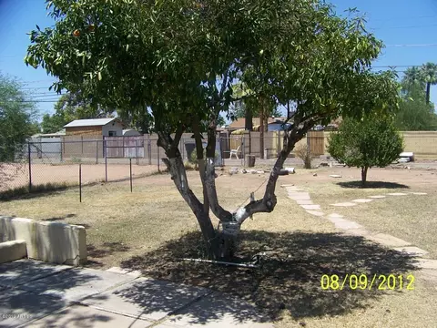 3416 E Harvard St, Phoenix, AZ 85008 photo 4