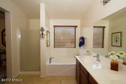 4028 E Navigator Ln, Phoenix, AZ 85050 photo 10
