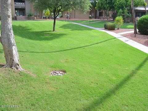 3825 E Camelback Rd #209, Phoenix, AZ 85018 photo 12