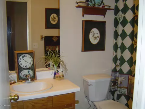 1018 E Mohave Ln, Apache Junction, AZ 85119 photo 9
