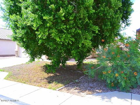 9250 E Carmel Ave, Mesa, AZ 85208 photo 28